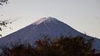 Lake Kawaguchi：河口湖